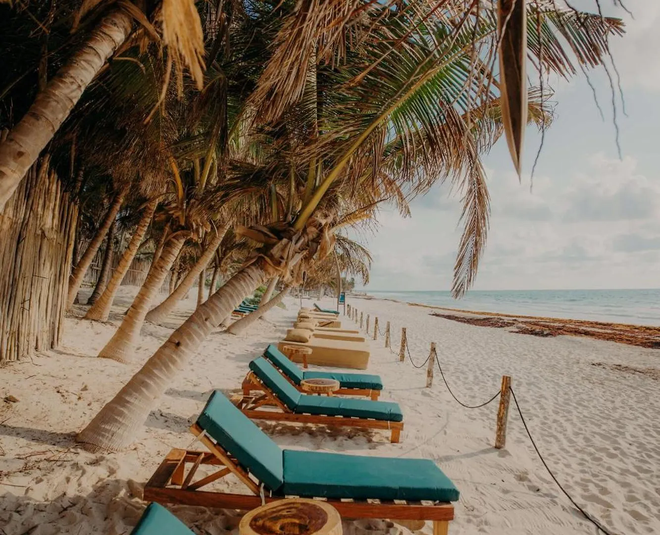 Boutique Bohemian Condo With Private Pool Tulum Apartment